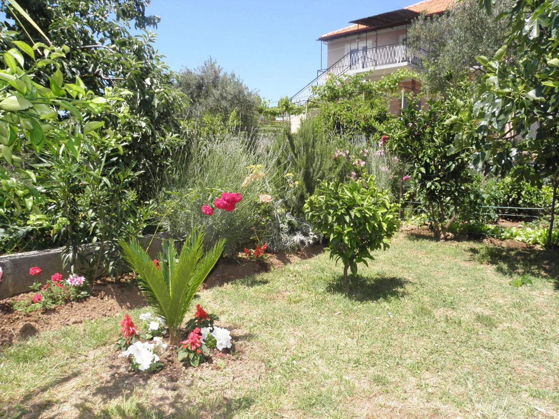 Apartments Zvone - 100 M From Sea Bibinje Exterior photo